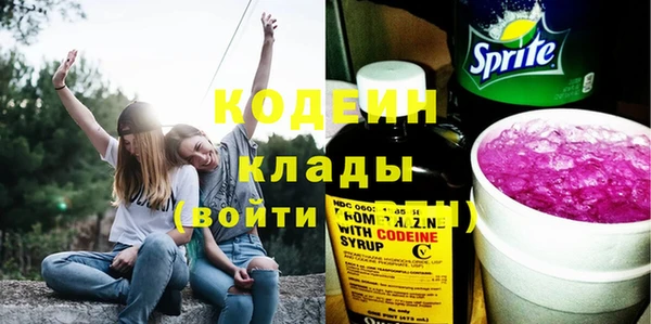 шишки Балахна