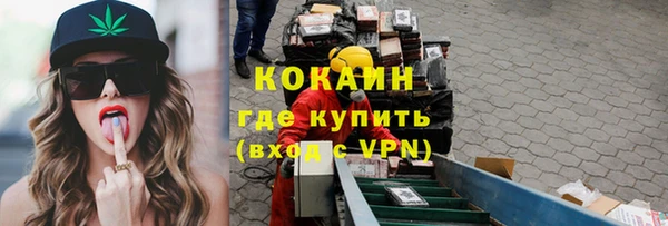 шишки Балахна